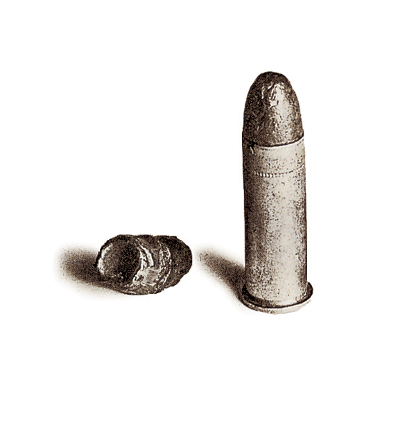 Bradshaw's Bullet